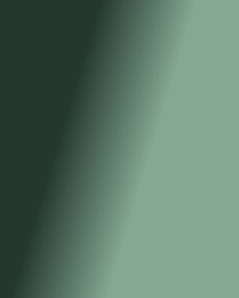 Placeholder — Three generations
